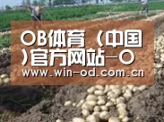 种植基地七(图1)