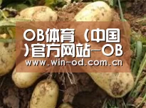 产品展示标题2