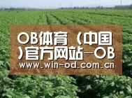 种植基地五