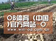 种植基地八