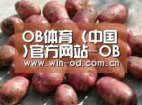 产品展示标题5